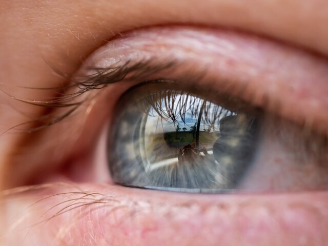    Фото: 123RF/wirestock