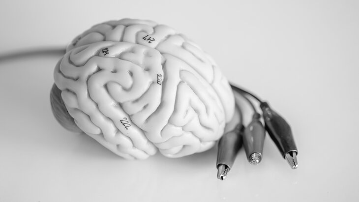    Фото: 123RF/tinydevil