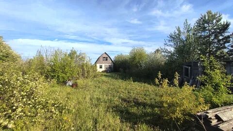 Инцидент случился на дачном участке в Красноярском крае