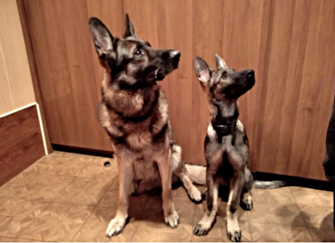 Пенсионер Платон и молодой Атом, фото из архива Дмитрия Васильева