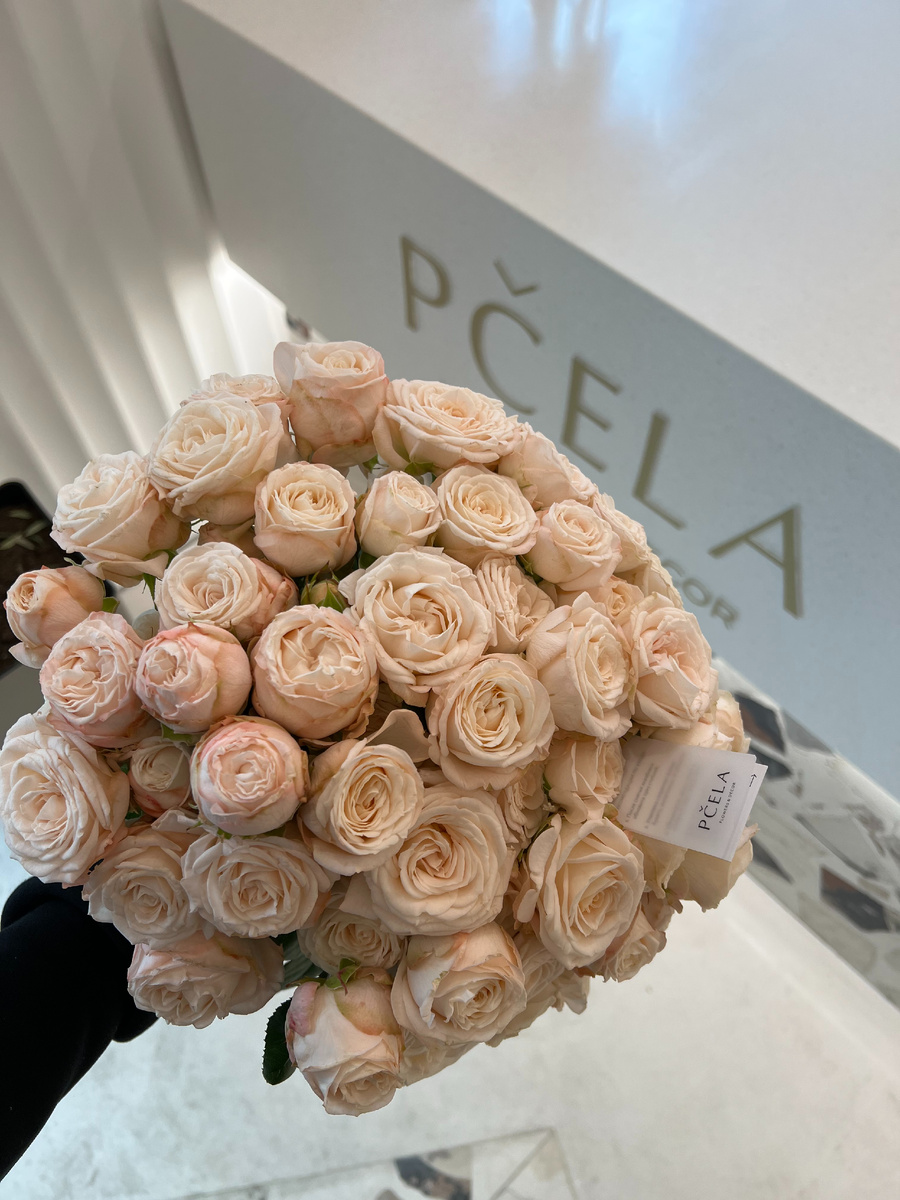 Цвета Цветов: оттенки 2025. Фото: PČELA | pcela-flower.ru