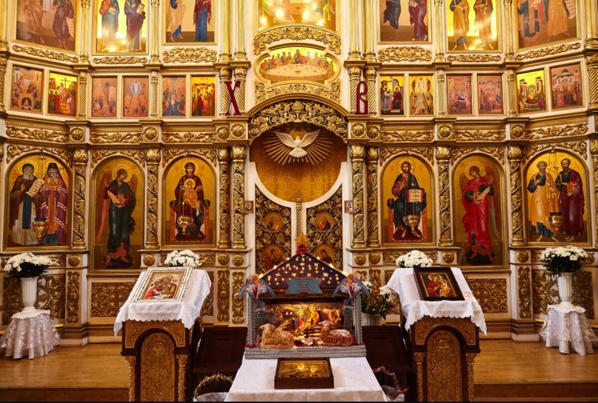 Фото открытого источника сети