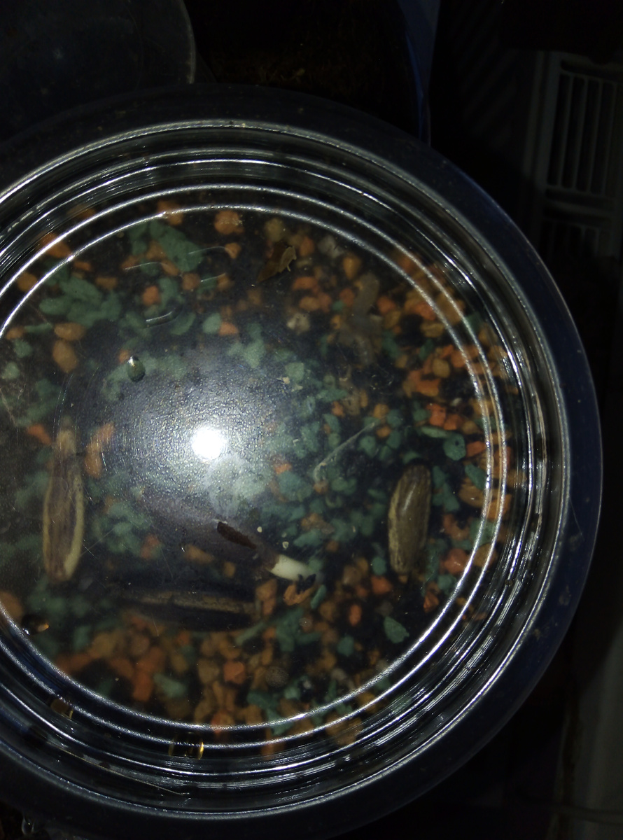 Фото автора.