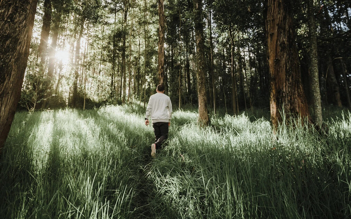 Изображение из открытых источников