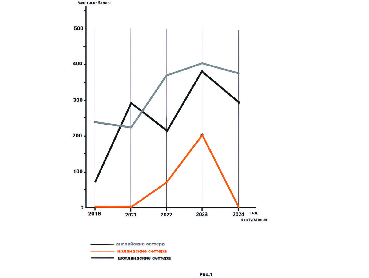     фото Марина БОГОСЛОВСКАЯ