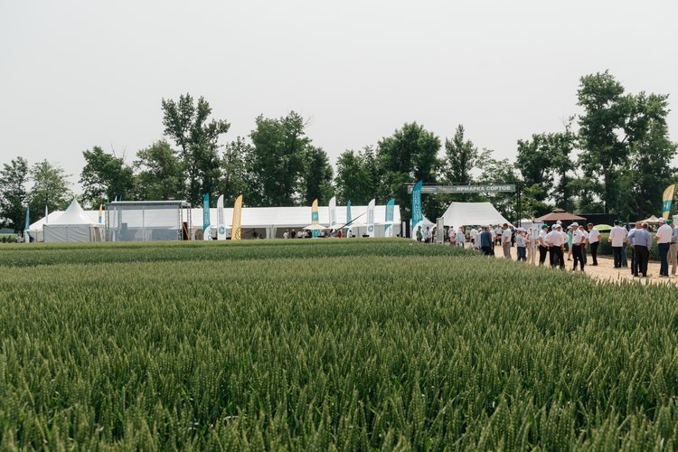     День поля-2025: селекция НЦ зерна и надёжная защита «Щёлково Агрохим»
