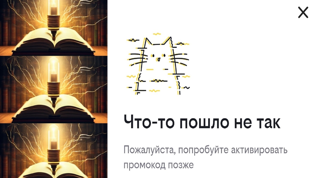 Вот с этим милым котом я виделась каждый раз при попытке ввести промокод