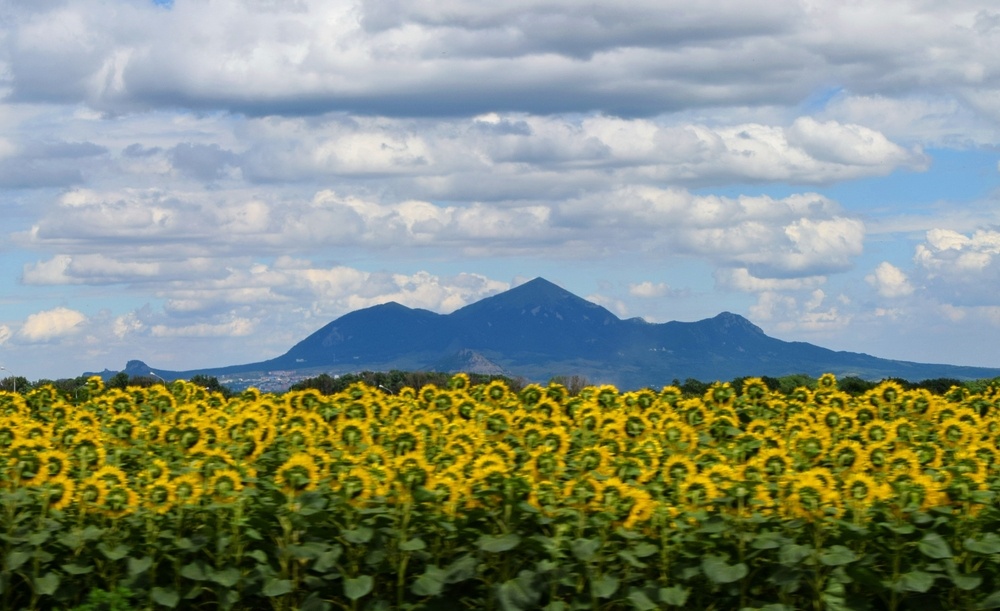 @Jelenka180885/Shutterstock