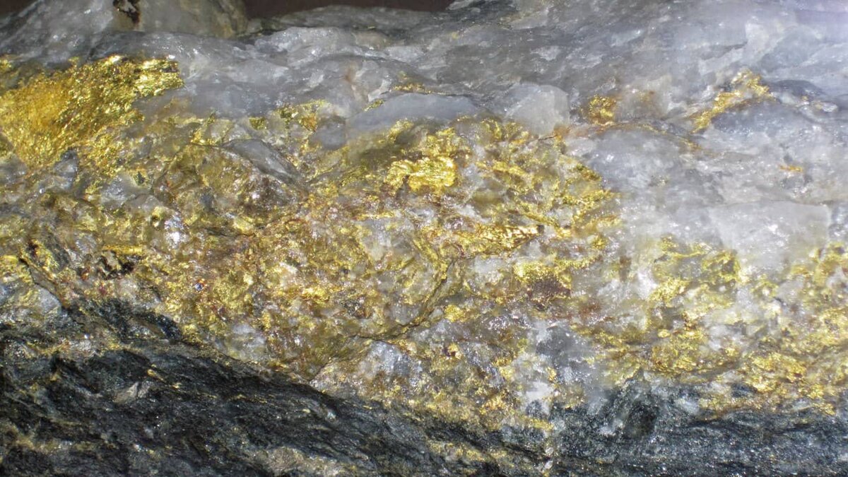 Как найти золото: руководство для начинающих искателей