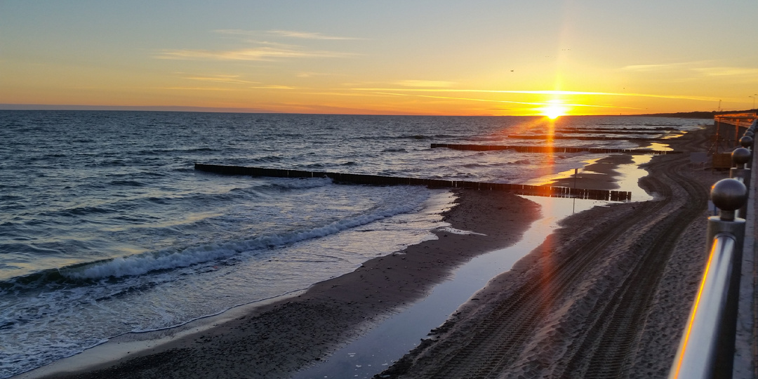 Утренние тренировки — польза или вред? Полный разбор