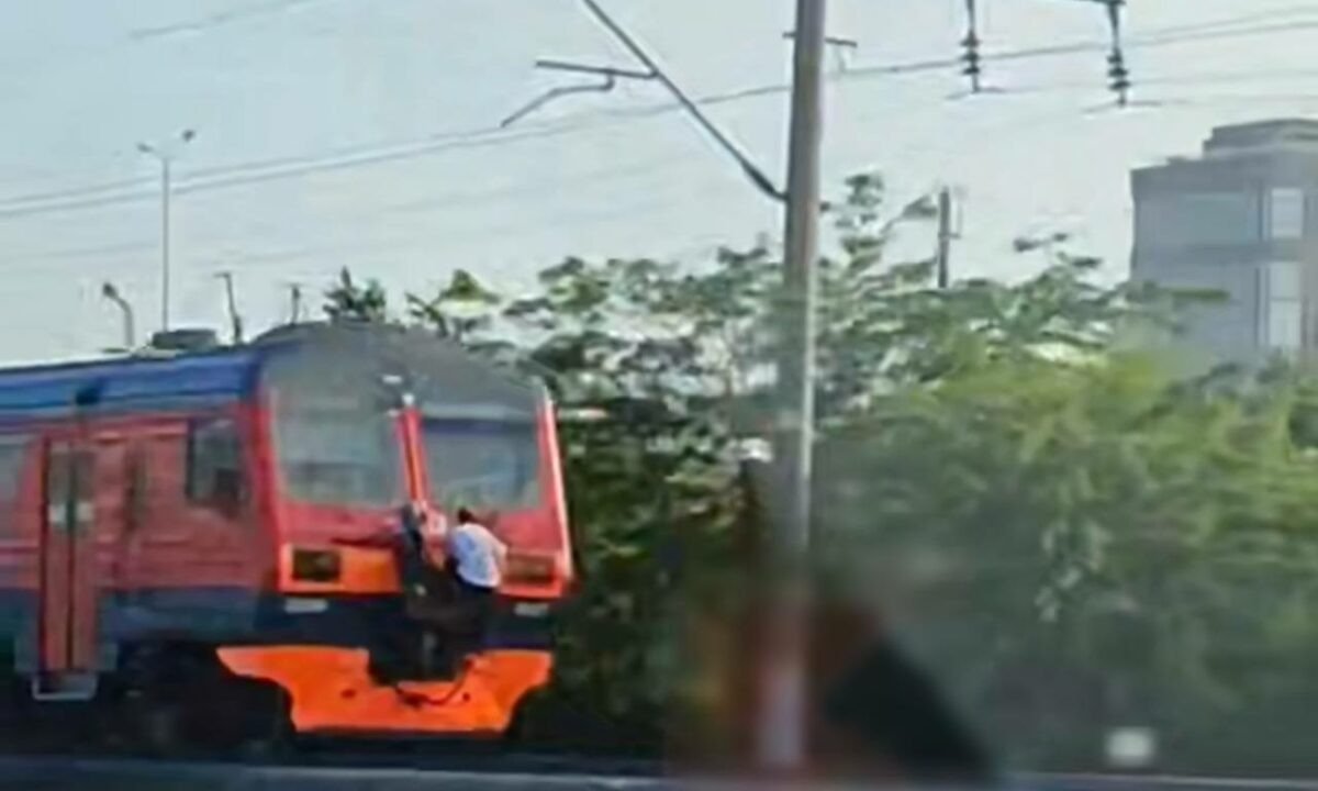    Фото t.me/krd_tipich_ru