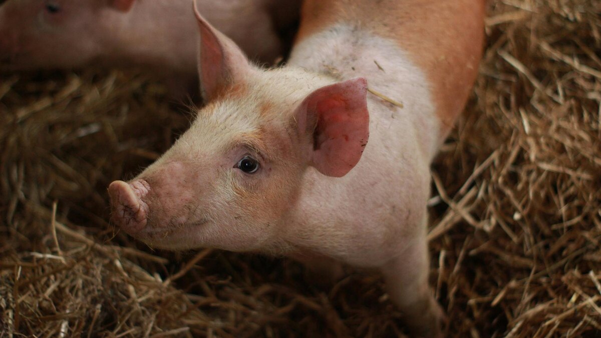    Фото: unsplash.com