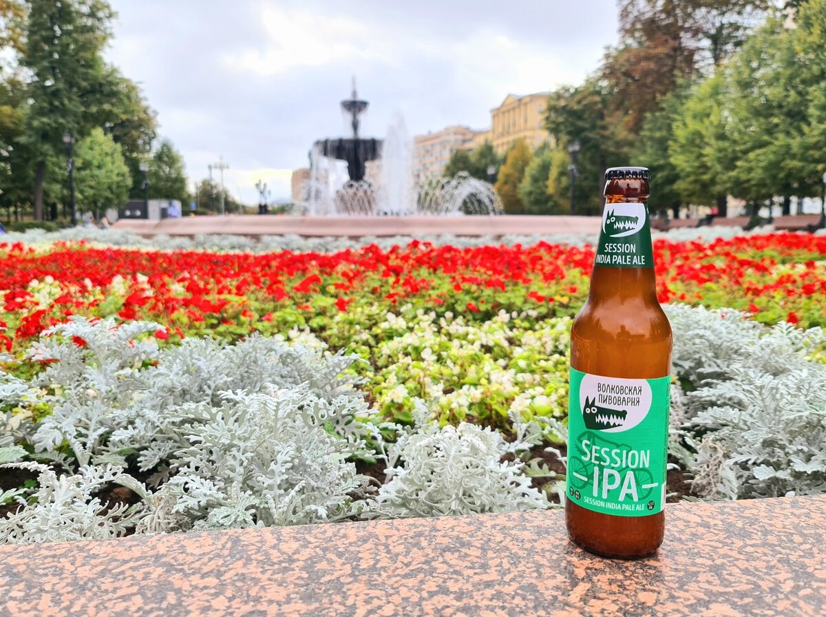 Волковская Session IPA, фото автора