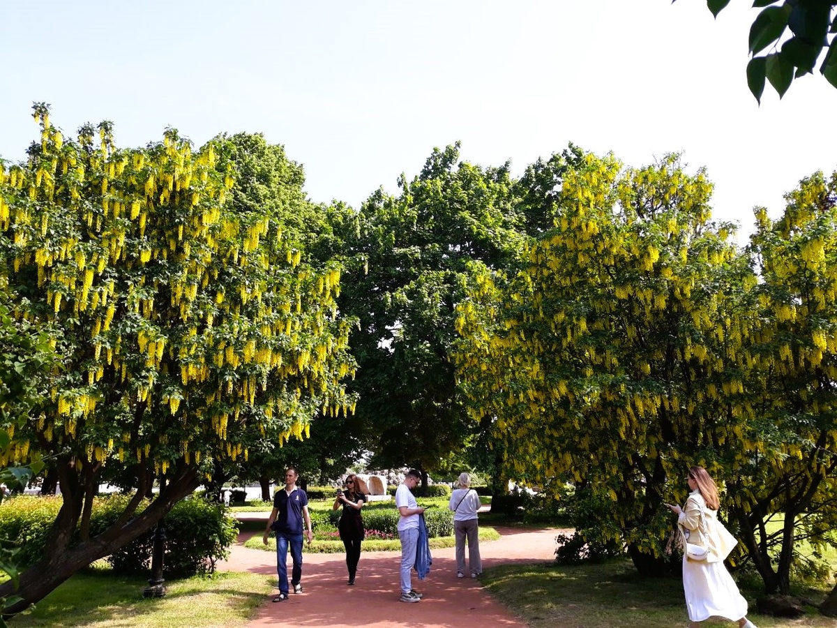 Все фотографии - авторские