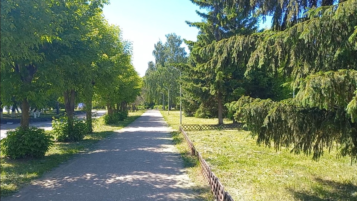 Лето в городе 🤩