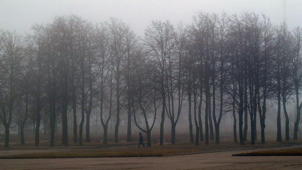 Фото: Алексей Смагин / Коммерсантъ