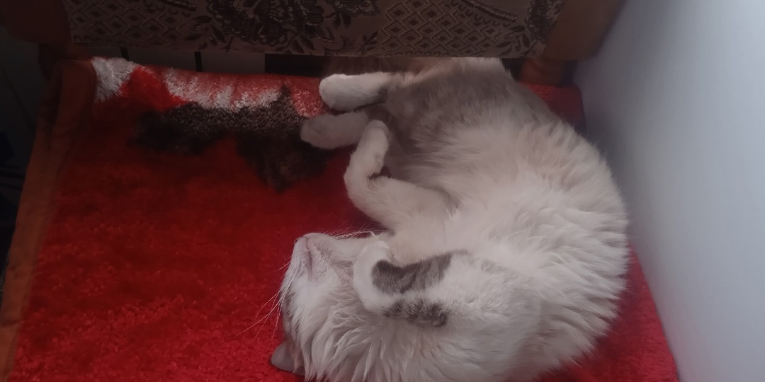 Хозяйство –это не для полежать