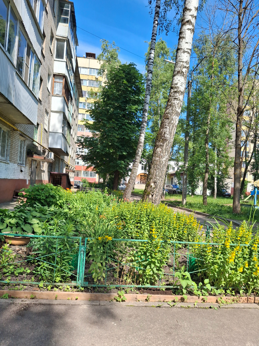 Фотография сделана автором статьи 