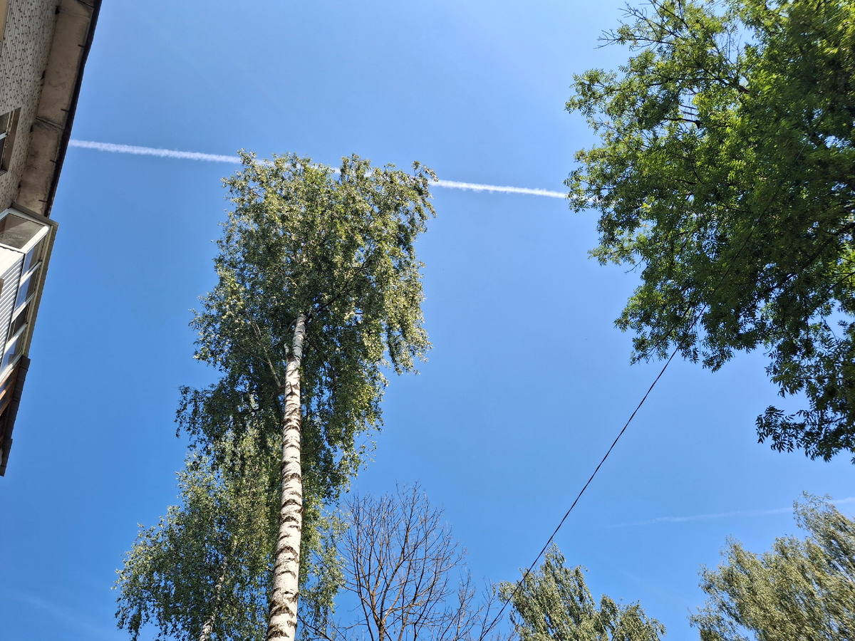 Фотография сделана автором 