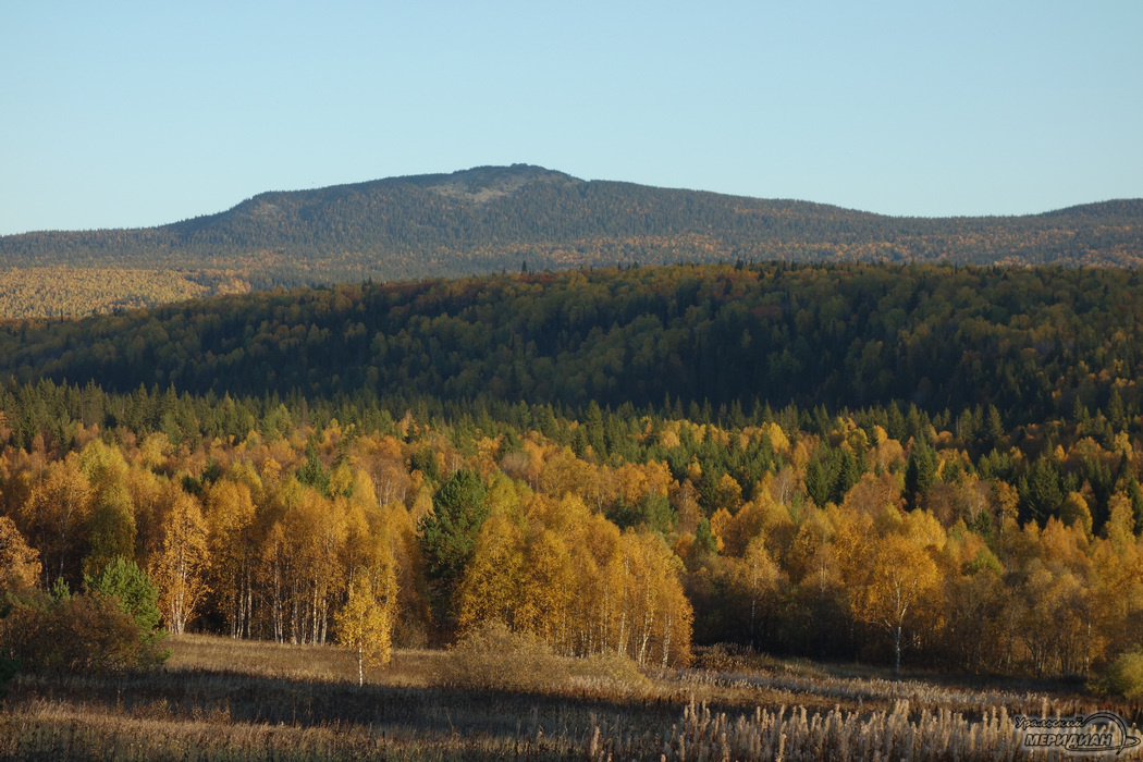    Фото: Гертруда Тиунова © ИА "Уральский меридиан"
