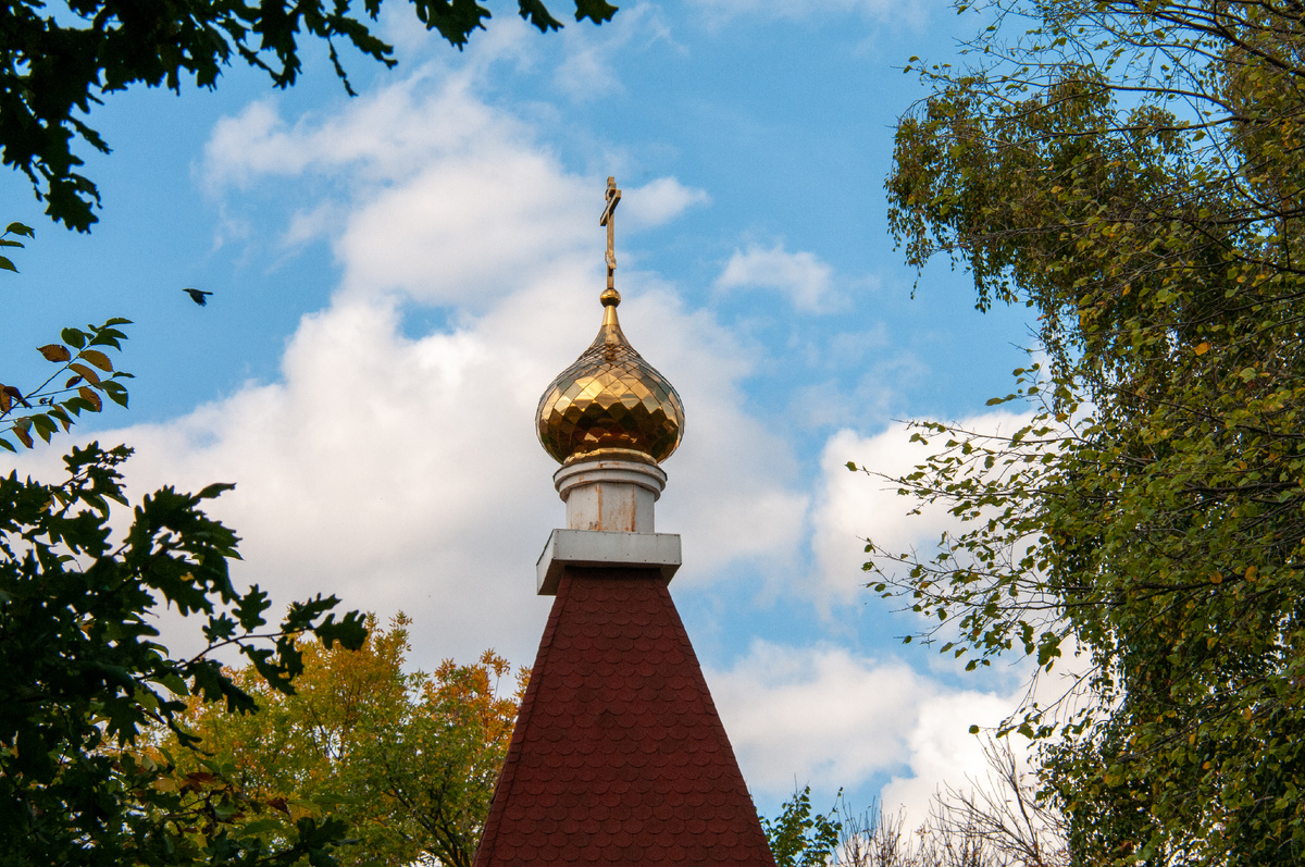 фото: Svetlana Vozmilova/Global Look Press