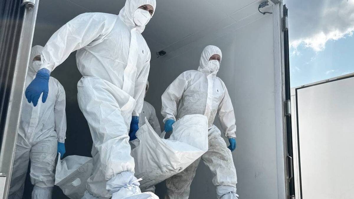    Фото: Telegram / Владимир Мединский