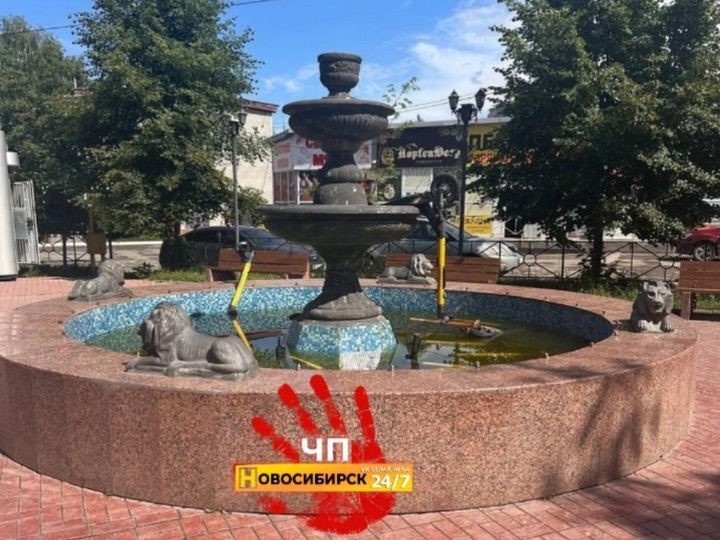   Фото: ЧП-Новосибирск \ Telegram