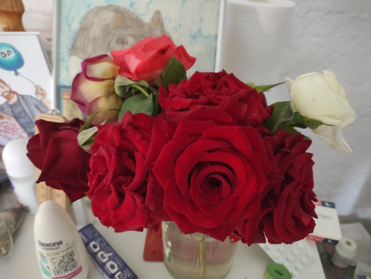 Вот снова цвет не тот. Крайний бутон слева именно правильного цвета, и эти такие же темные и бархатные.