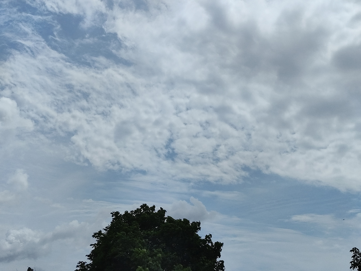 Погоды налаживаются