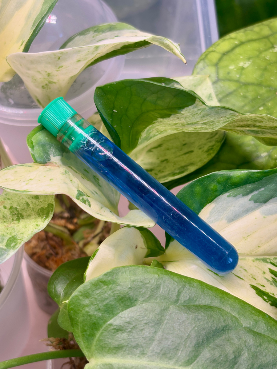 Вот она, моя "синяя магия"