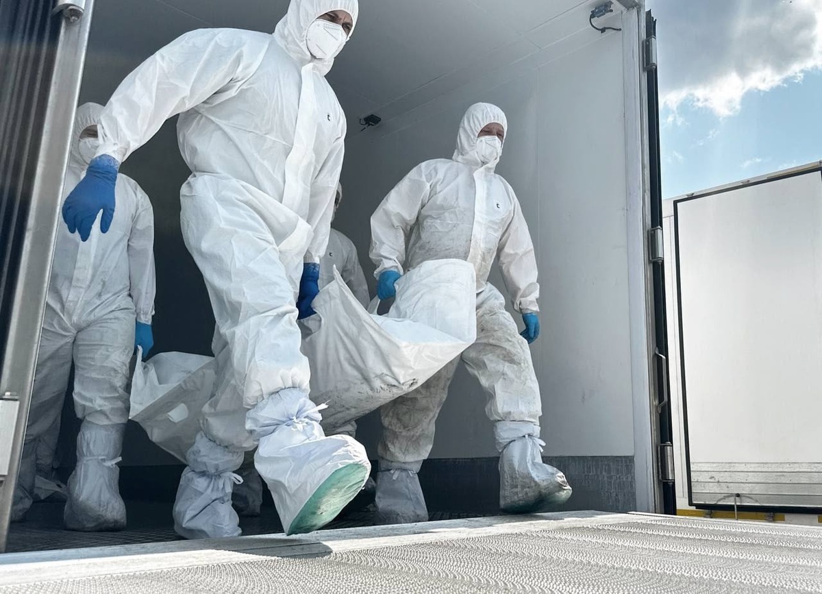    Россия выполнила договоренности Стамбула и передала Украине 6050 тел военнослужащих