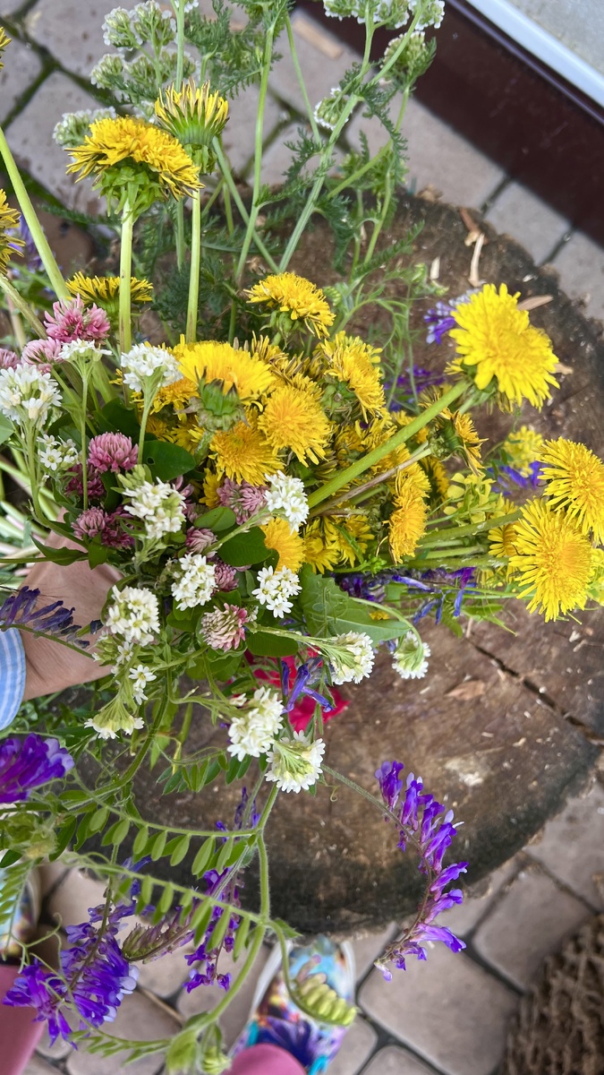 Фотография личного улова автора. Не реклама.