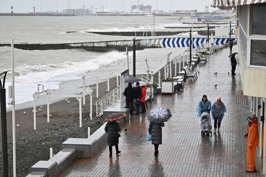    Екатерина Чеснокова/РИА Новости