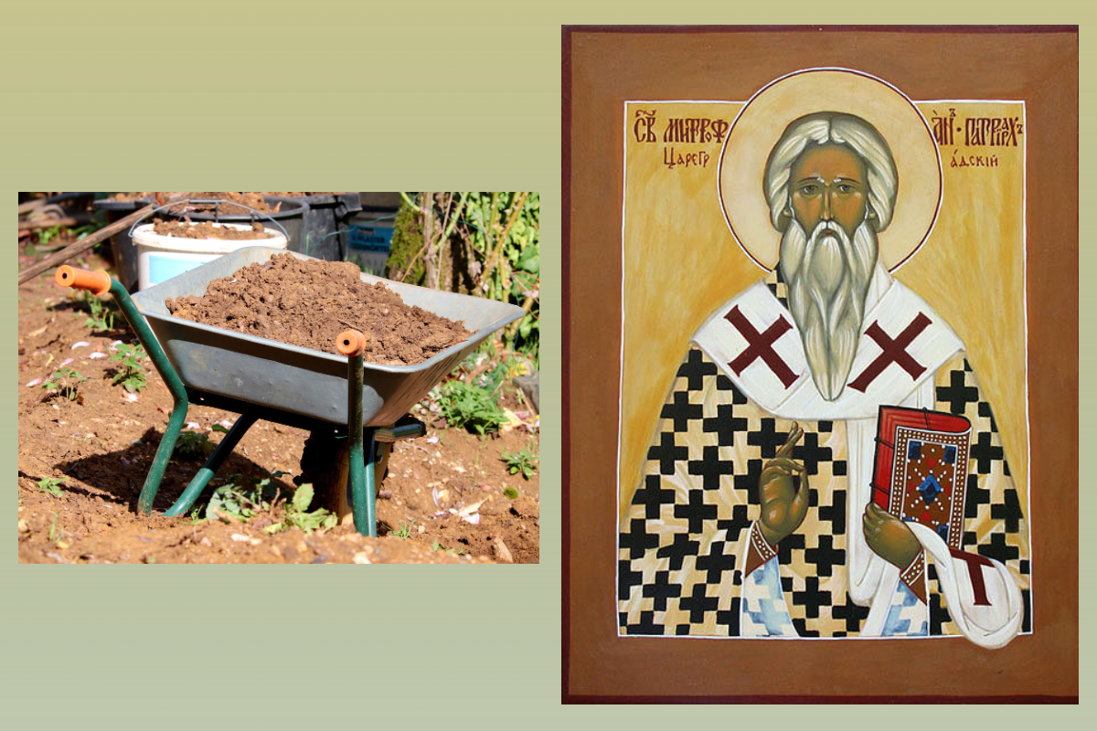 Свт. Митрофа́н, патриарх Константинопольский/azbuka.ru, В этот день на Руси принято было удобрять землю: тачка/pixabay.com