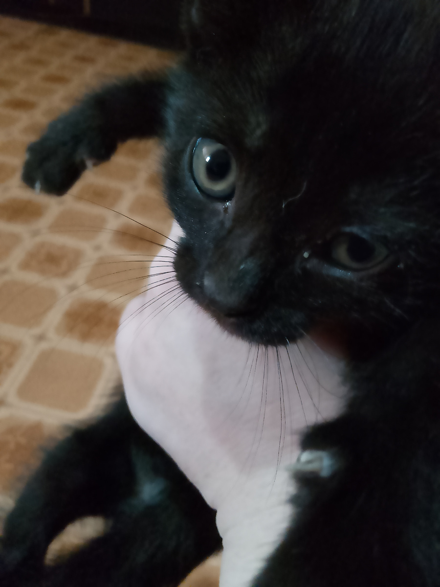 А вот и он наш гость😊