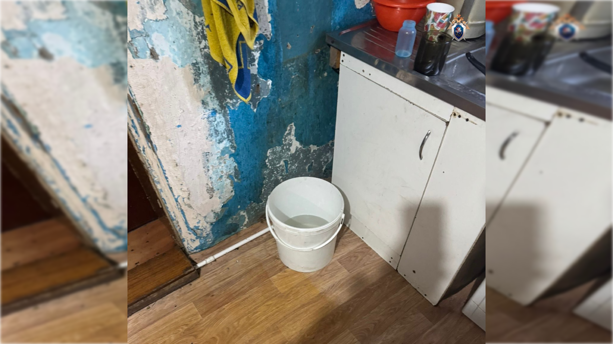 Фото: t.me/sledcom_omsk