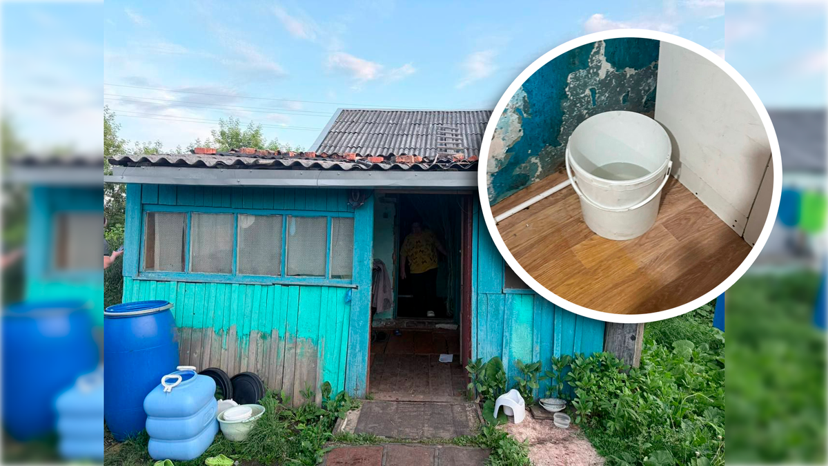 Фото: t.me/sledcom_omsk/t.me/prok_omsk