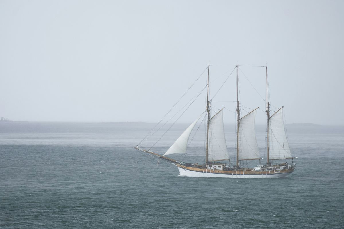 Изображение взято из открытых источников.