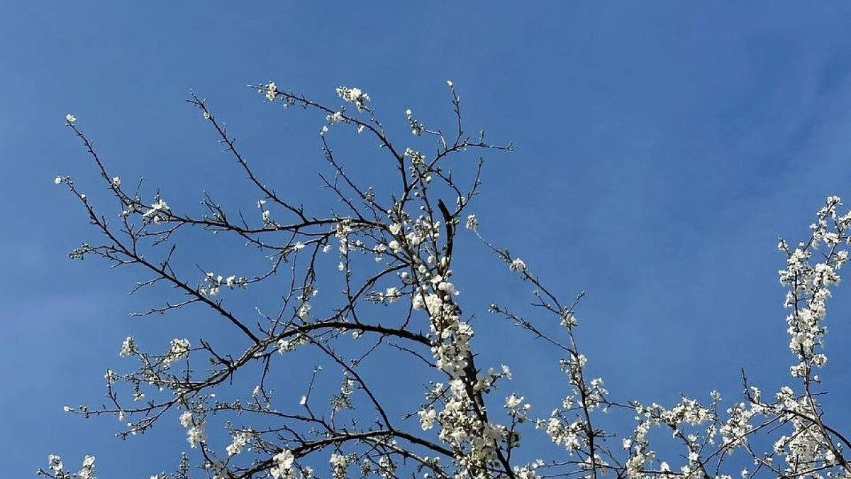    Фото: телеканал «Краснодар»