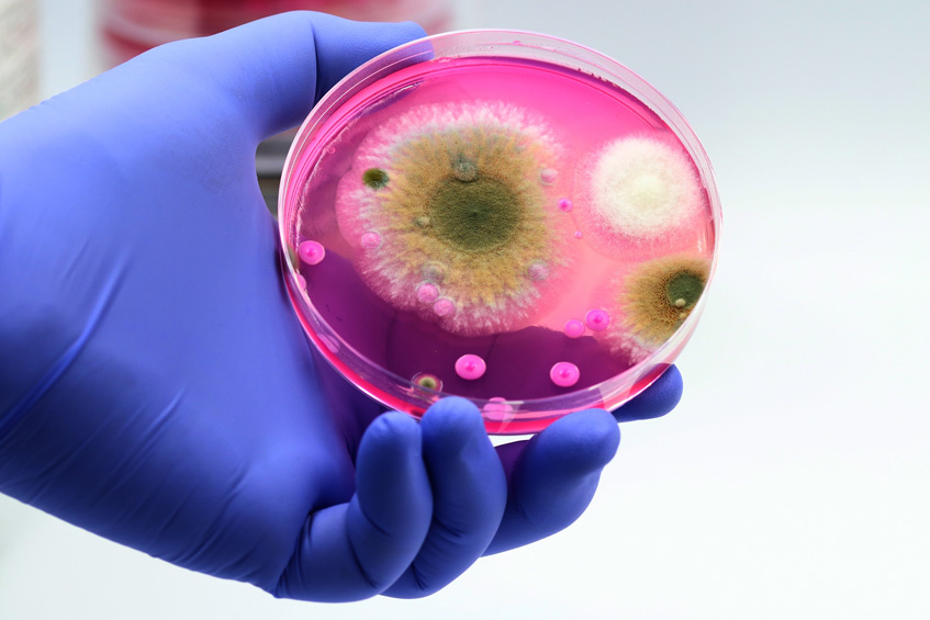 Фото: Shutterstoсk/FOTODOM