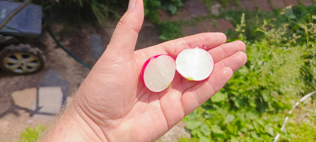 Пустоты отсутсвуют