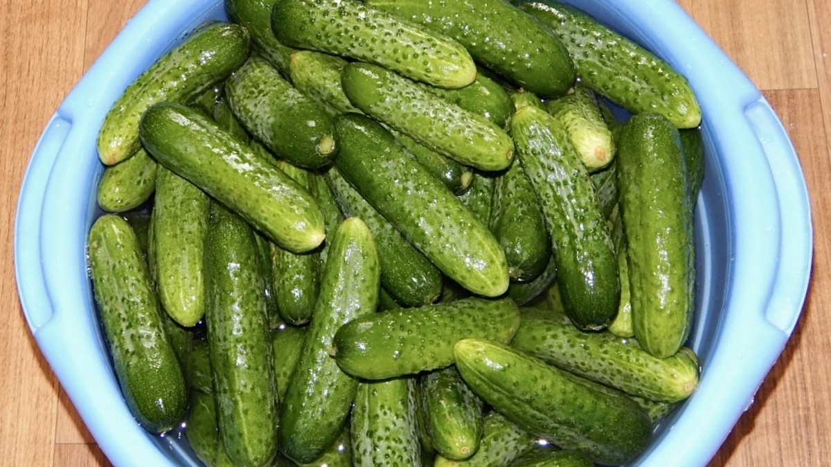 -5