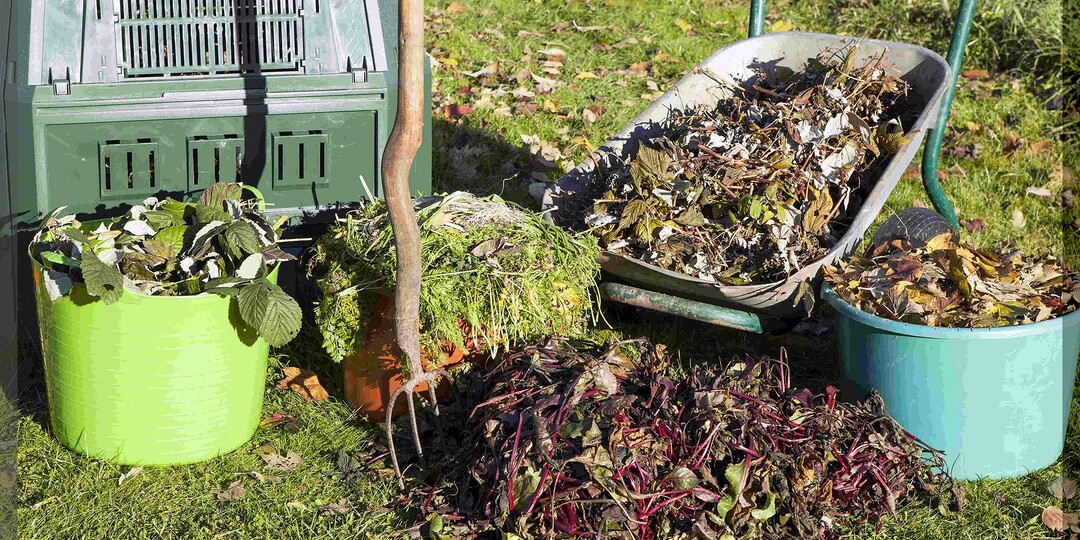 Растения и биопрепараты ускоряющие процесс приготовления компоста: как приготовить быстрый, но правильный компост