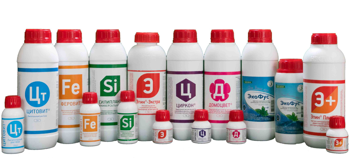 фотография с официального сайта АНО "НЭСТ М" https://nest-m.ru