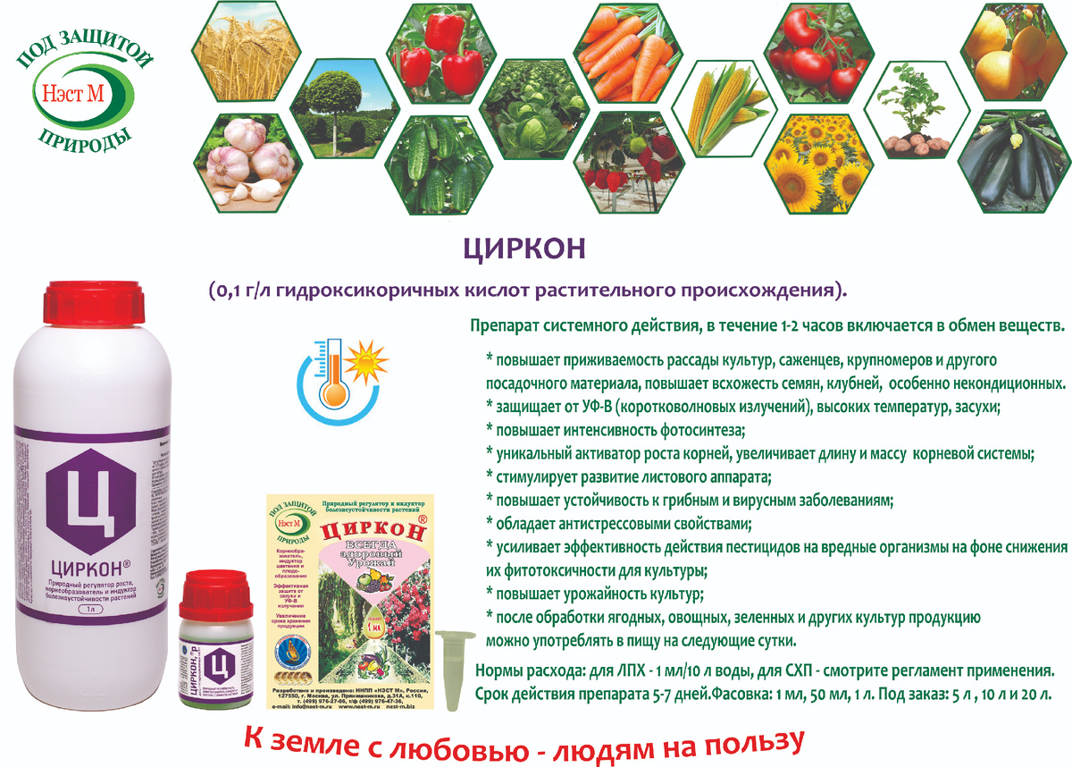 фотография с официального сайта АНО "НЭСТ М" https://nest-m.ru