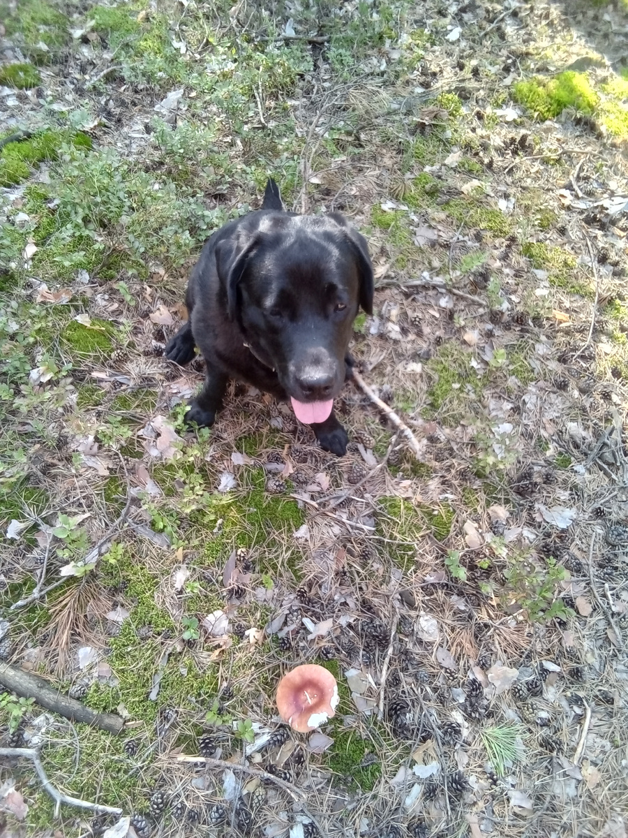 Фото автора. 