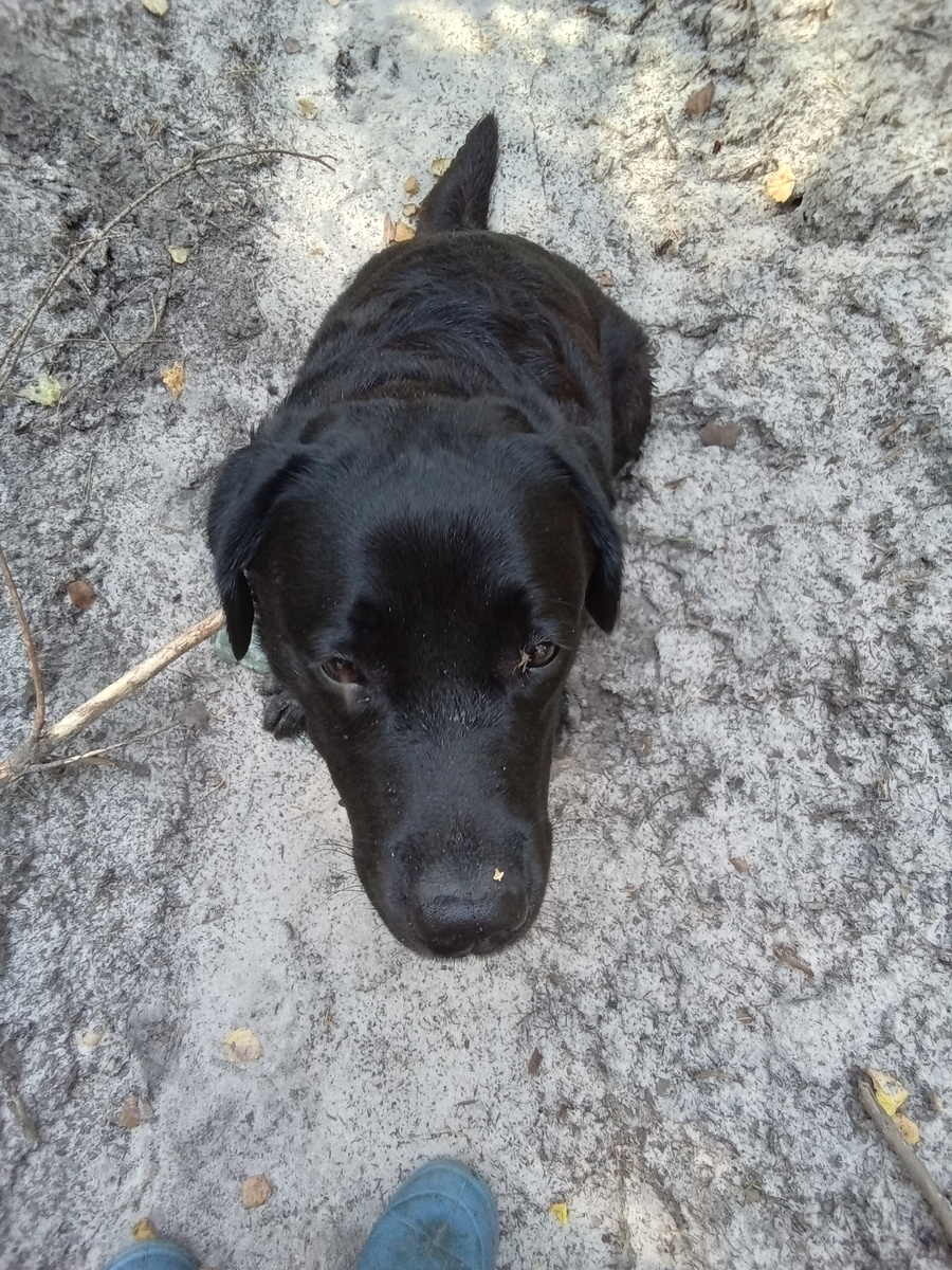 Фото автора. 