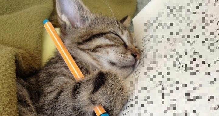 Вырасту, буду писать для вас,как мой папка Сережа!❤️(Это не я,я меньше)