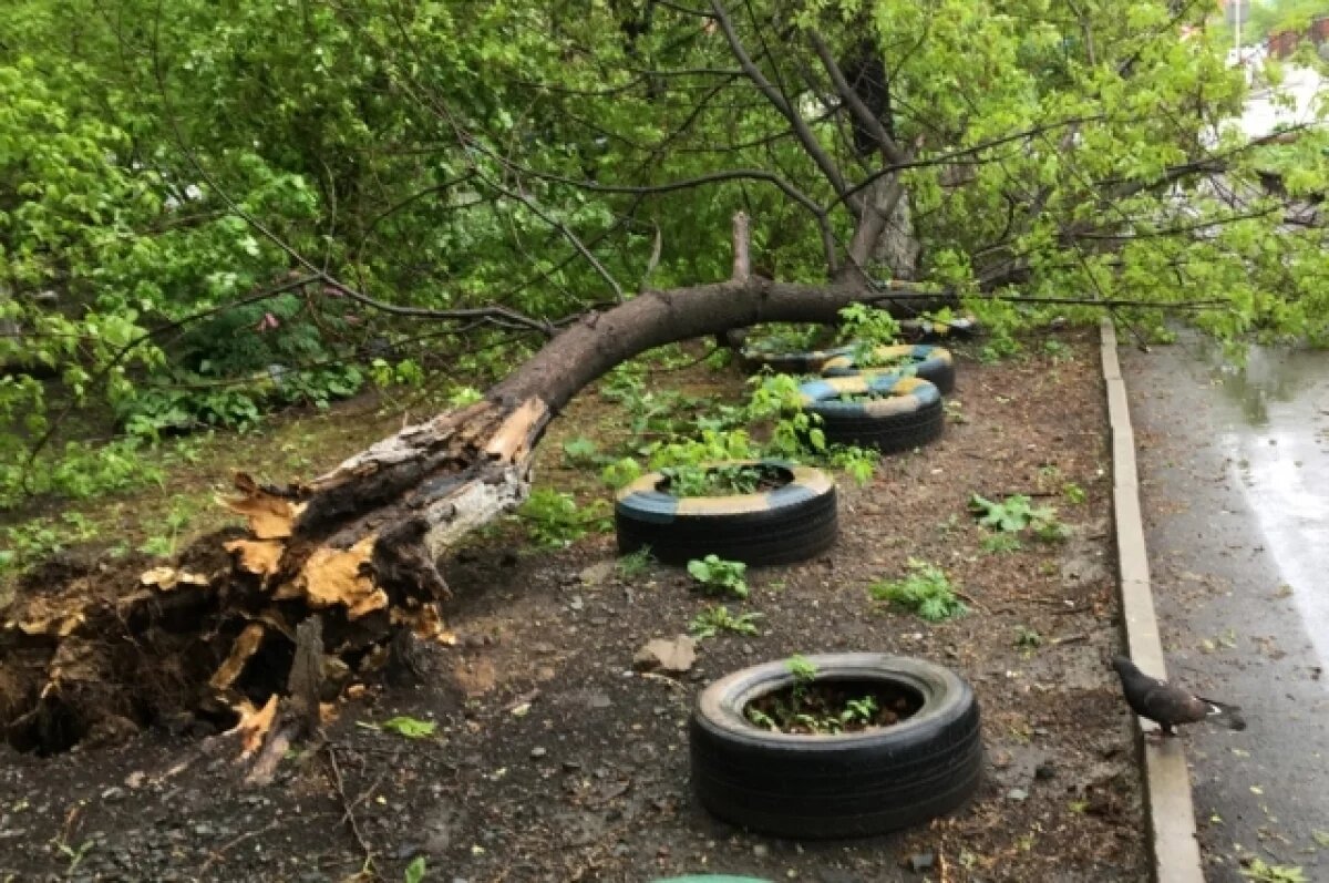    В Берёзовском районе спасатели ликвидируют последствия урагана