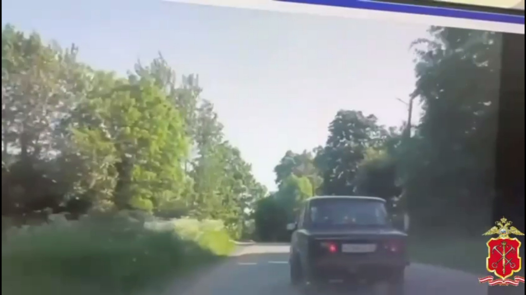 Фото: кадр видео пресс-службы ГУ МВД России по Петербургу и Ленобласти